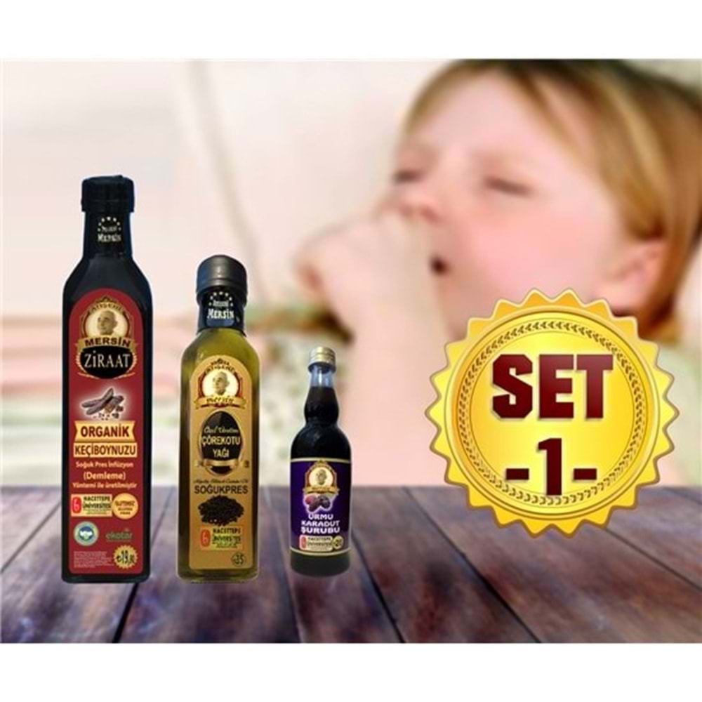 SET-1
